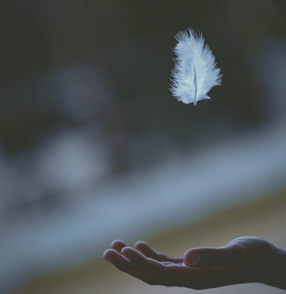shallow focus photography of white feather dropping in person's hand